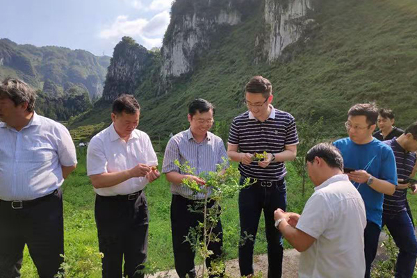 赴贵州六盘水考察