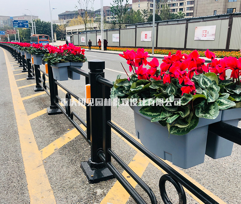 隔离栏杆