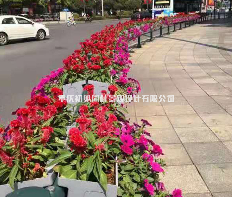 挂式花盆