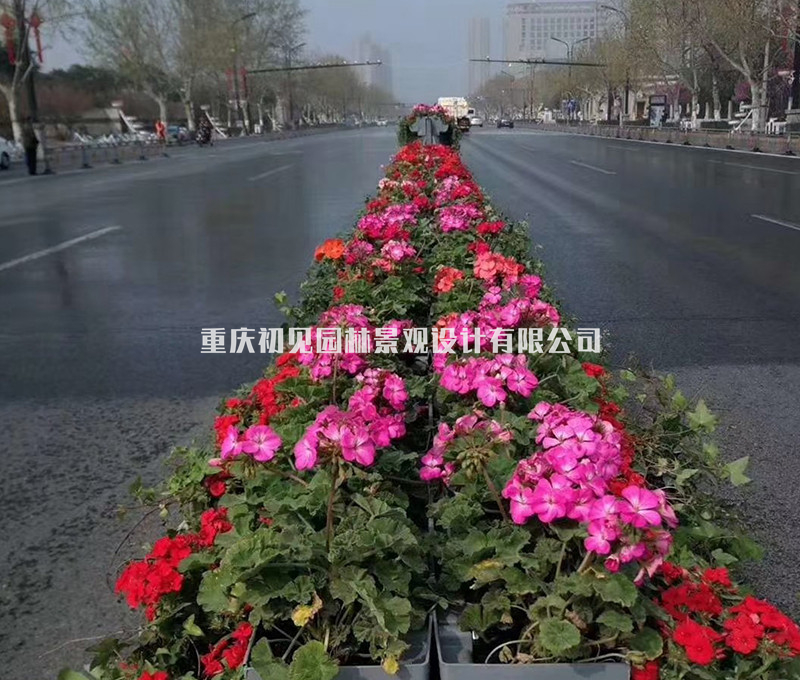 挂式花盆