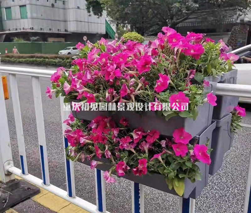 挂式花盆
