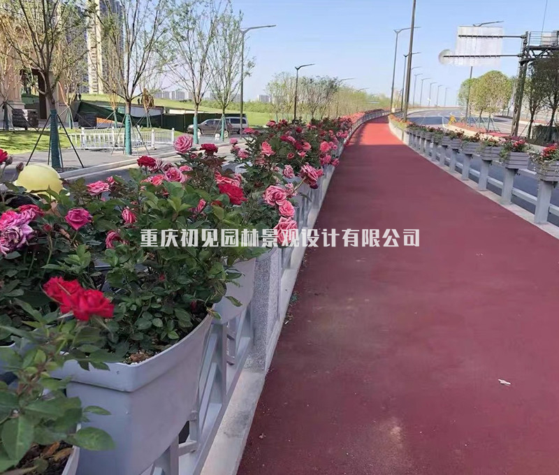 挂式花盆