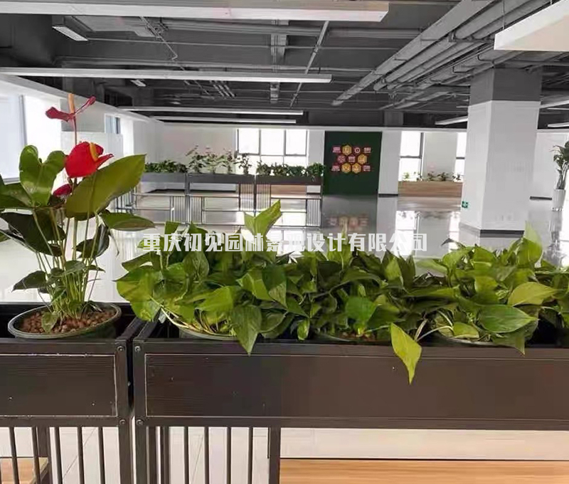 花架