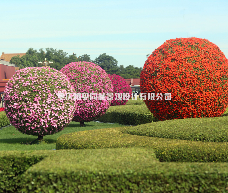 花球花柱