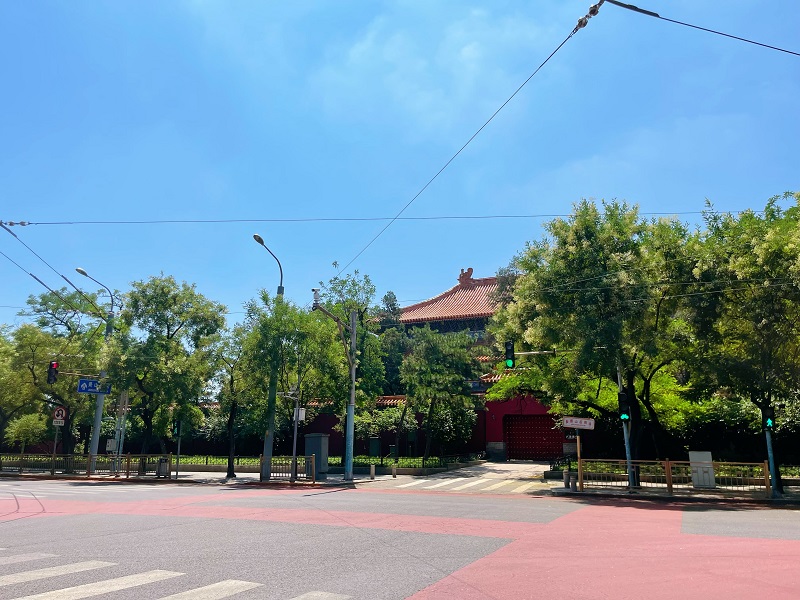 出让土地使用权是什么？