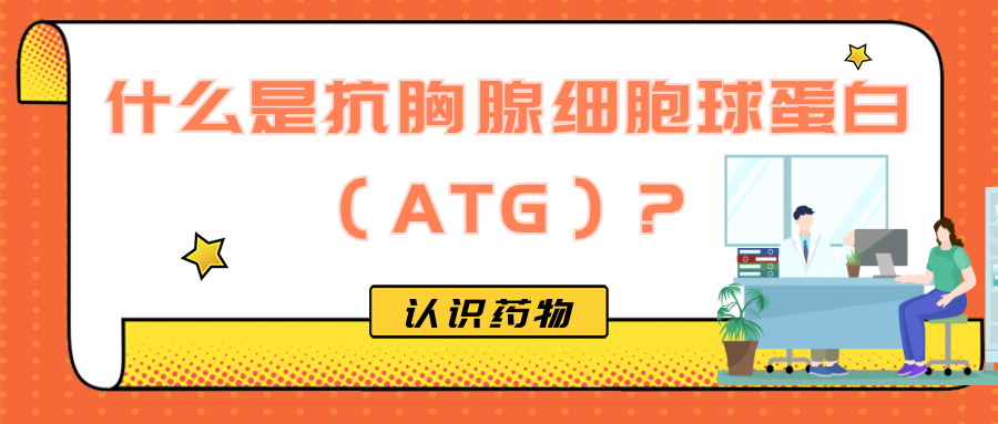 认识药物 | 什么是抗胸腺细胞球蛋白（ATG）？