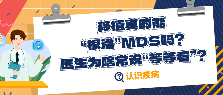认识疾病 | 移植真的能“根治”MDS吗？医生为啥常说“等等看”？
