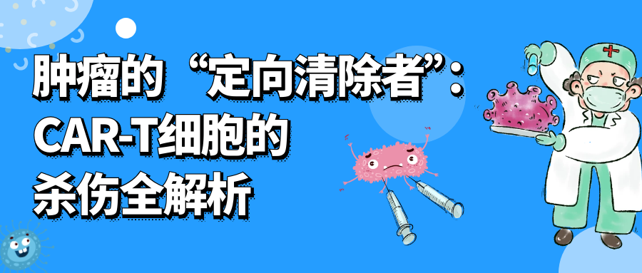 科普时间 | 肿瘤的“定向清除者”：CAR-T细胞的杀伤全解析