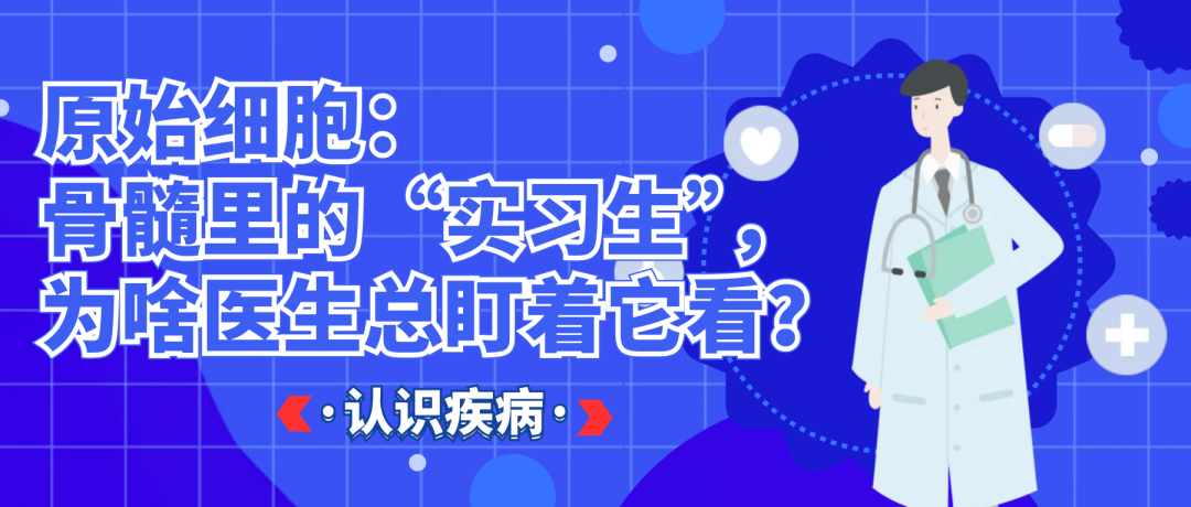 认识疾病 | 原始细胞：骨髓里的“实习生”，为啥医生总盯着它看？