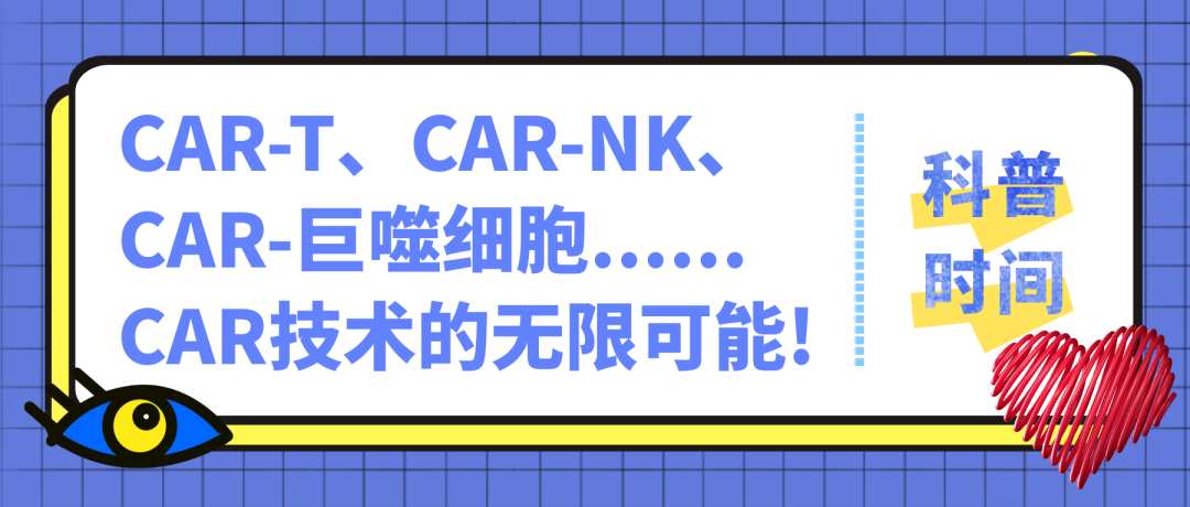 科普时间 | CAR-T、CAR-NK、CAR-巨噬细胞......CAR技术的无限可能!