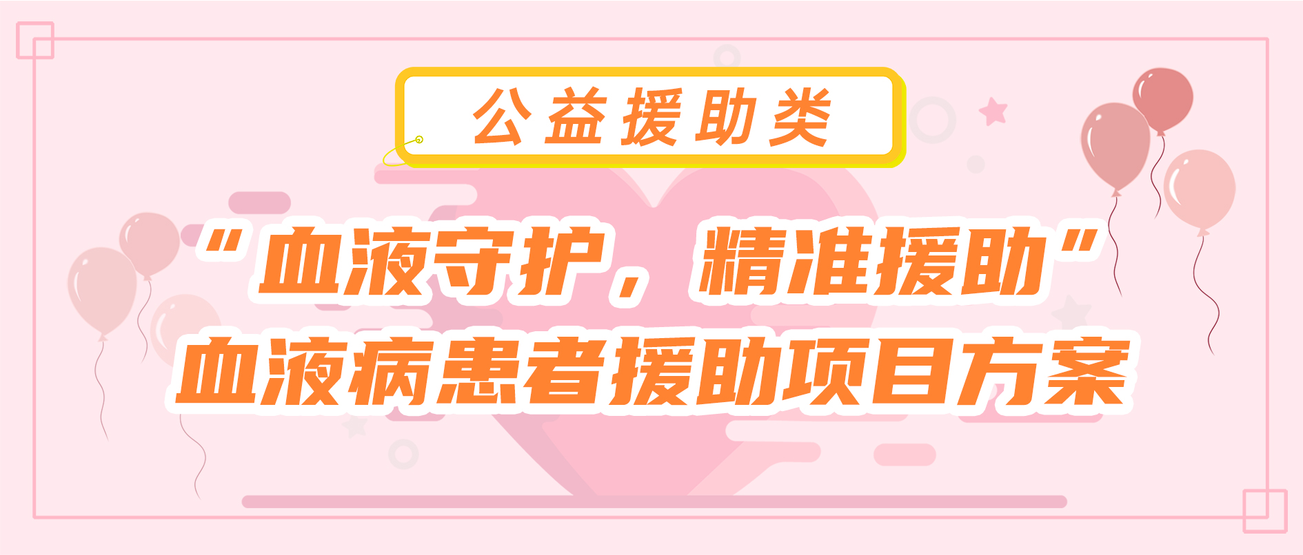 “血液守护，精准援助”血液病患者援助 项目方案