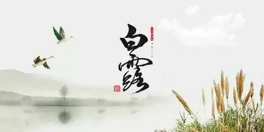 2021年9月7日 白露
