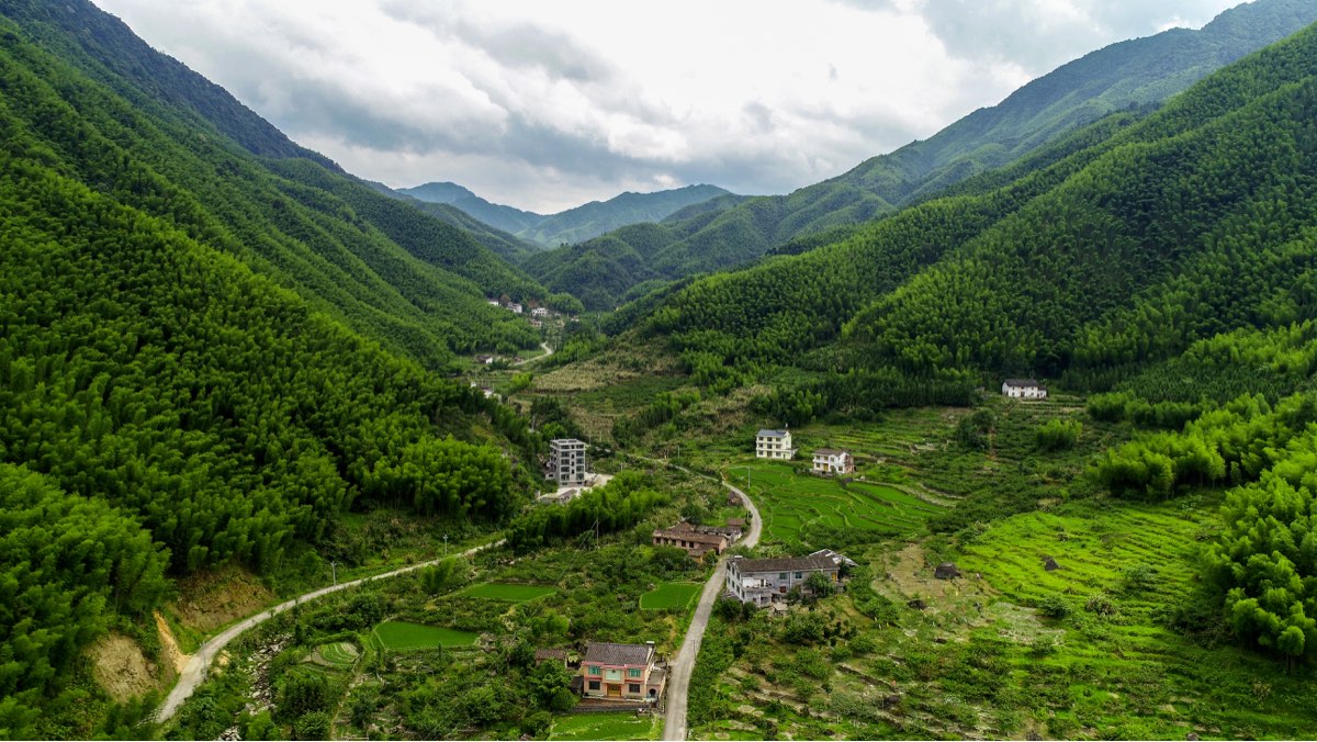 密花村