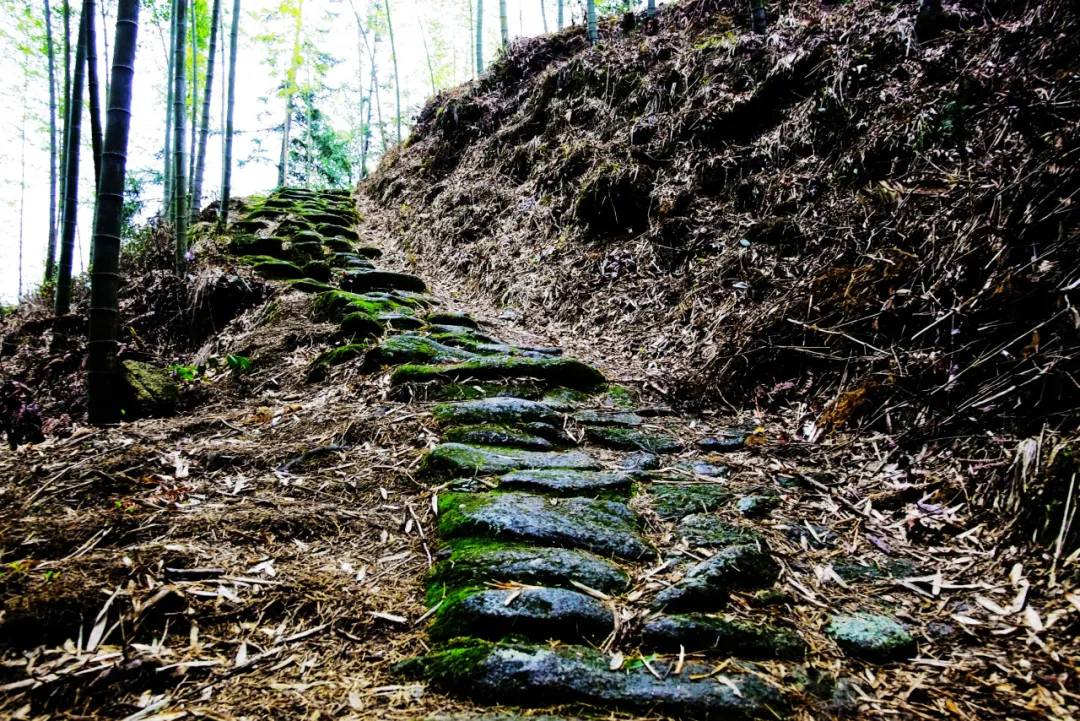 鲜血浸染的酃县“苏区盐路”