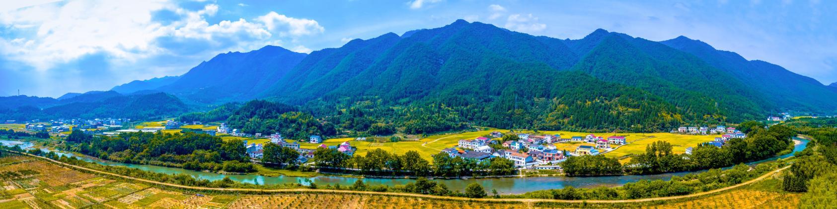 水西村