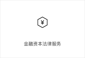 金融资本法律服务