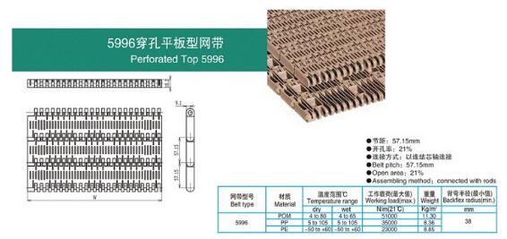 5996穿孔平板型网带