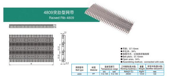 4809突肋型网带