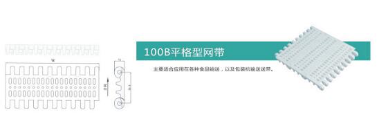 100B平板型网带