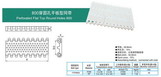 800穿圆孔平板型网带