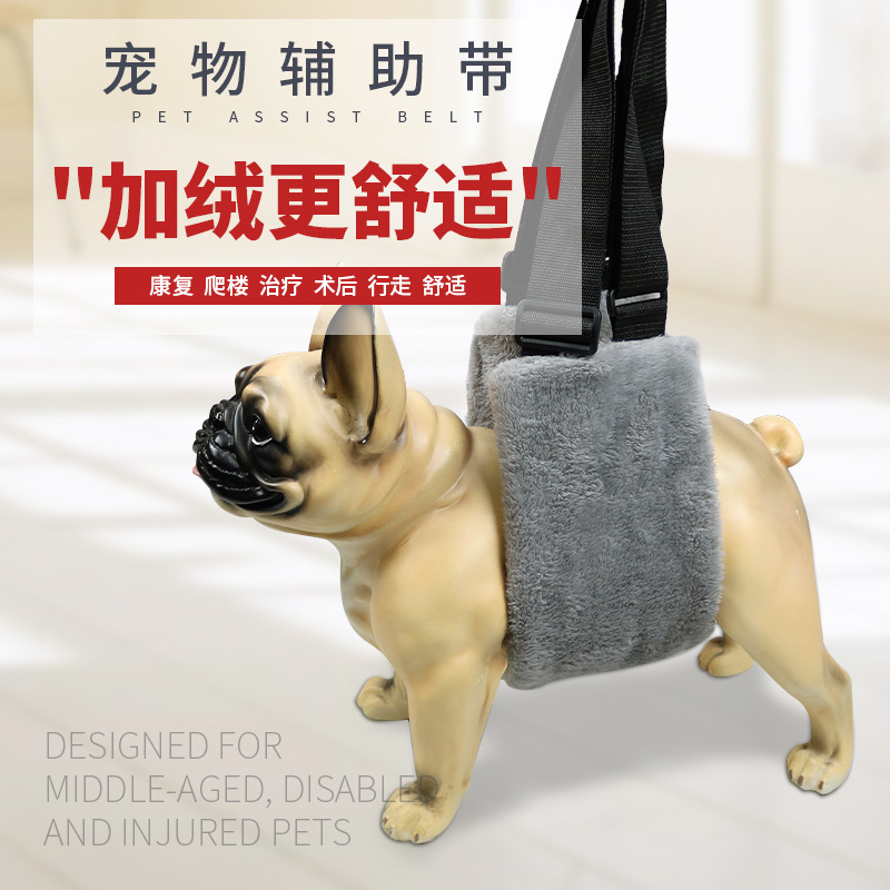 亞馬遜新品老齡狗狗輔帶殘疾老年病弱犬下樓梯上車珊瑚絨輔助帶