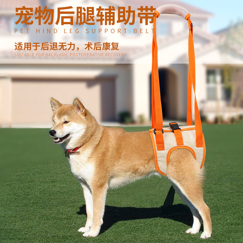 亞馬遜新品后腿輔助帶高齡老年犬殘疾犬康復(fù)鍛煉帶上樓協(xié)助帶廠家
