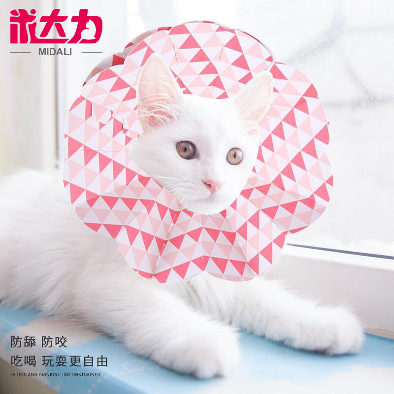寵物紙質(zhì)伊麗莎白圈