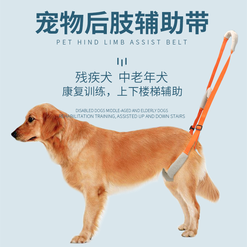 新品便攜式助力帶殘疾犬中老年犬中小型犬康復訓練輔助帶可調(diào)節(jié)