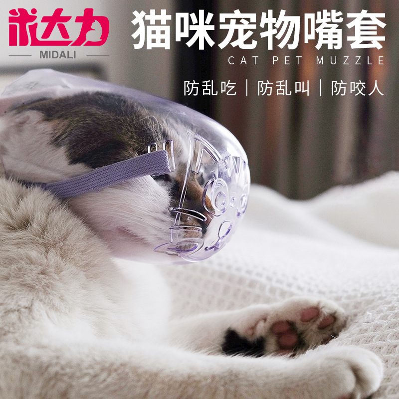 透明貓眼罩