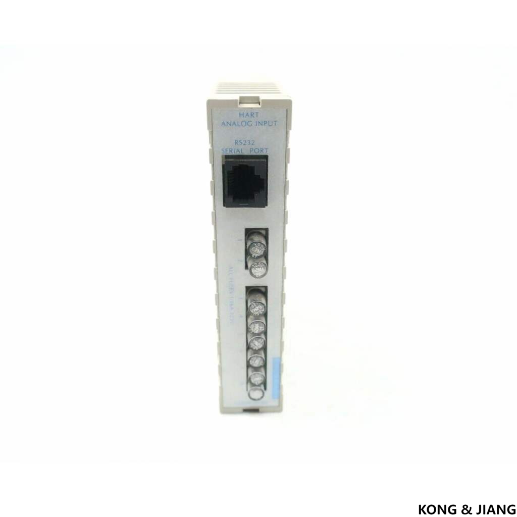 5X00058G01 5X00059G01 HART Analog Input 16 Bit