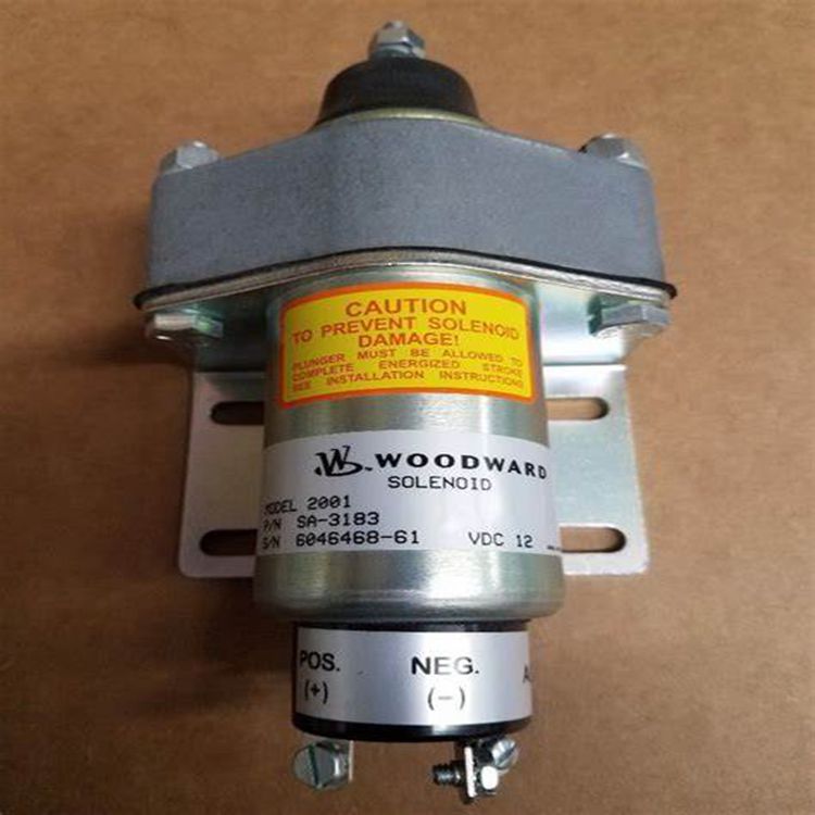 Woodward EASYGEN-3500-5/P28440-2145 Speed Controller