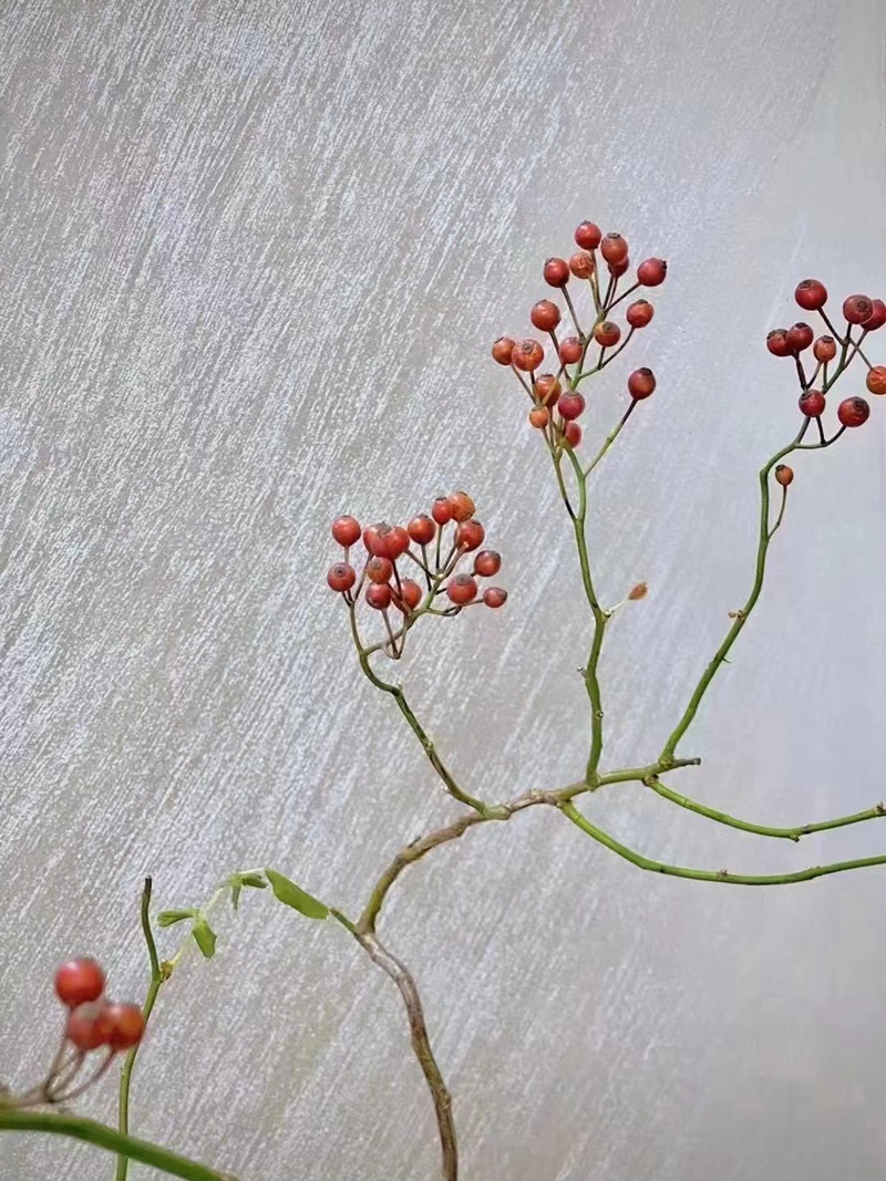 扫砂案例04