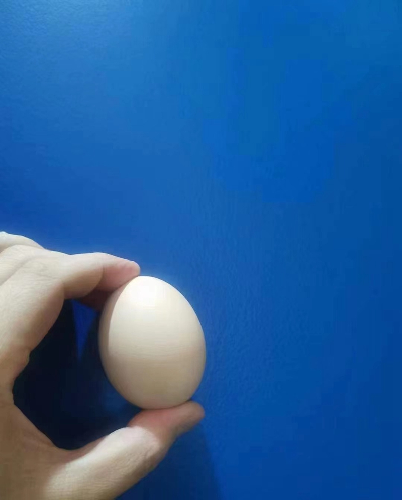 蛋壳光案例09