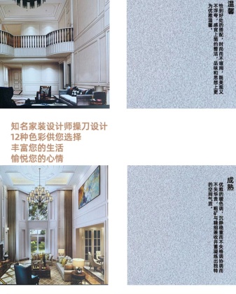墙艺漆16