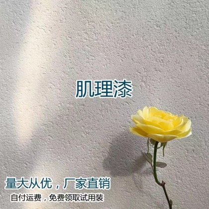 肌理漆4
