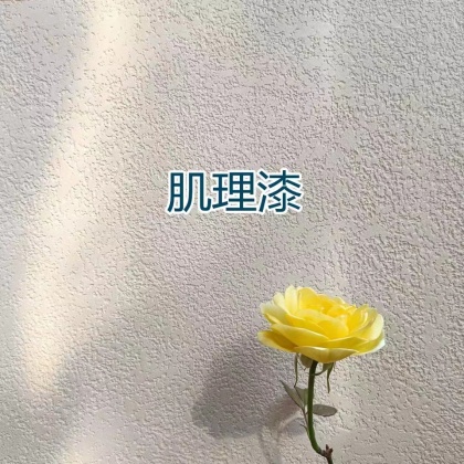 肌理漆3