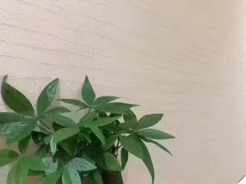 米洞石案例01