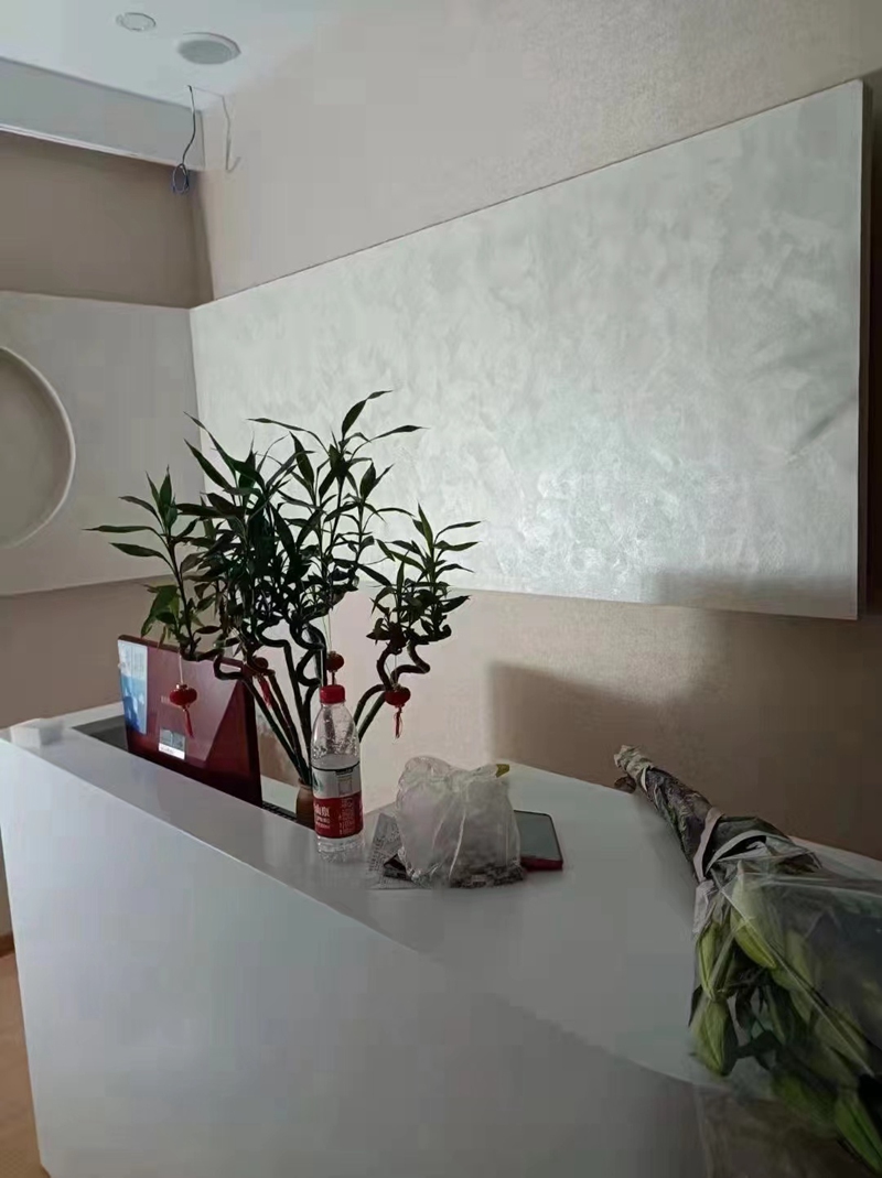 天鹅绒案例07