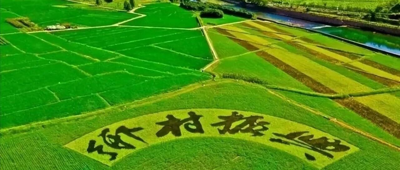 政策速递｜国家发展改革委关于印发乡村振兴 （和美乡村建设方向）中央预算内投资专项管理办法的通知