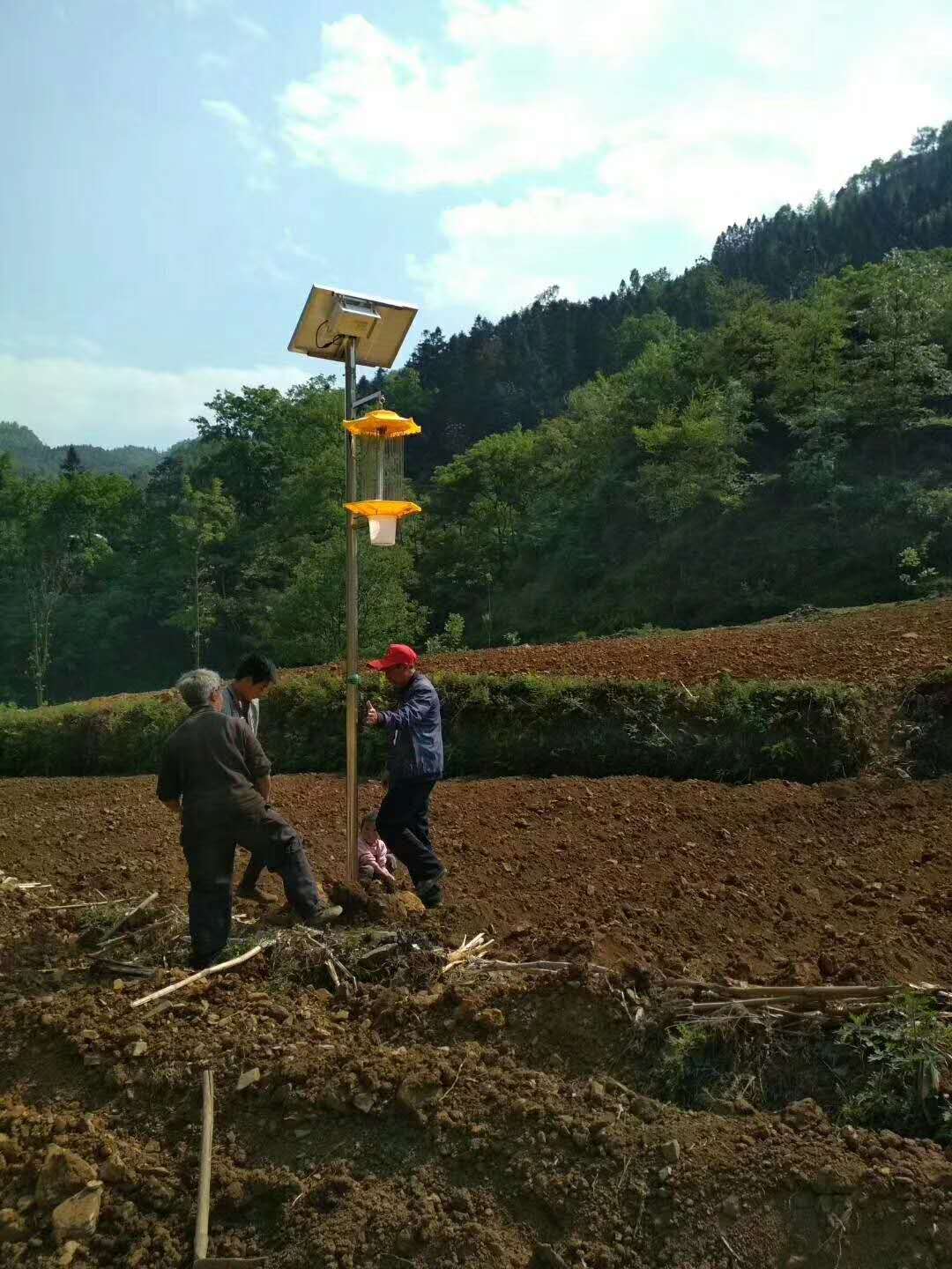 工程案例