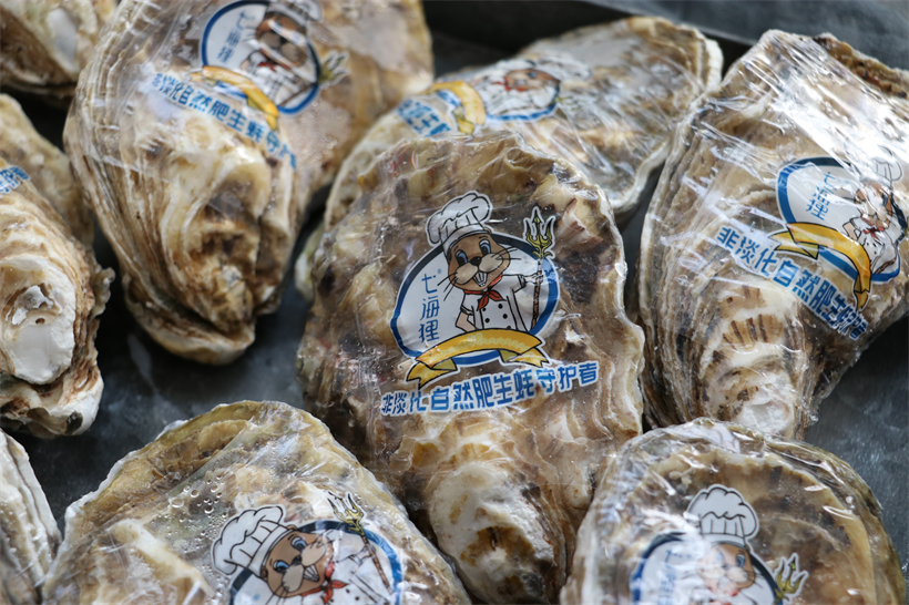 A级七海狸