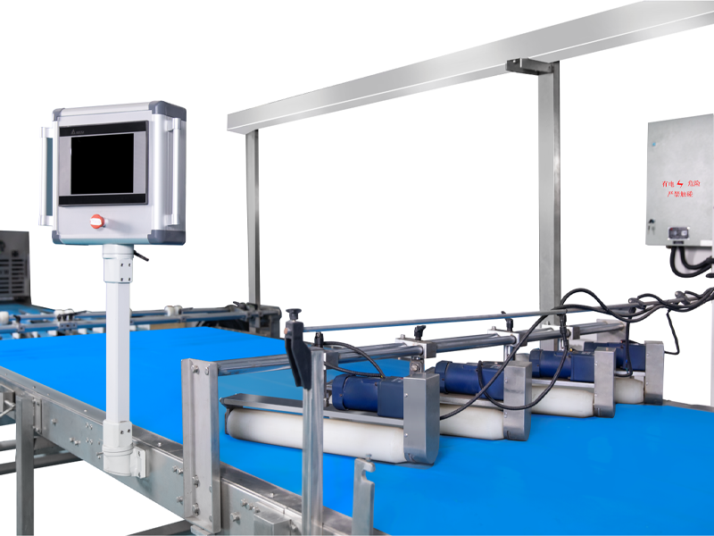 多组合式面带卷曲输送机