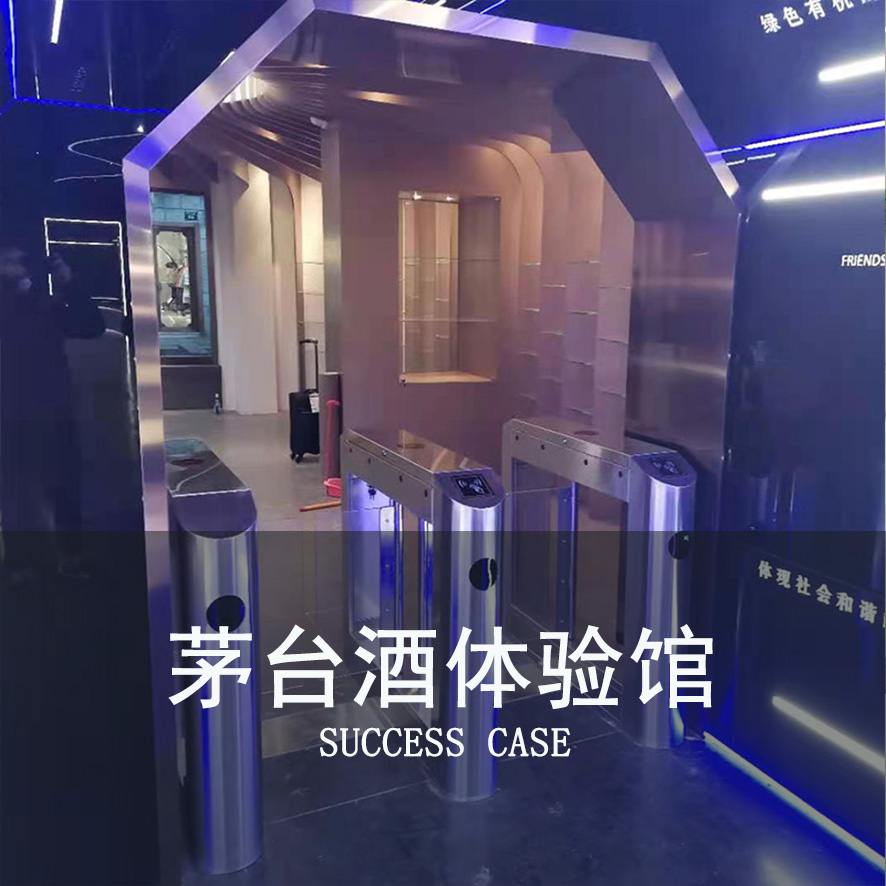 速通摆闸案例