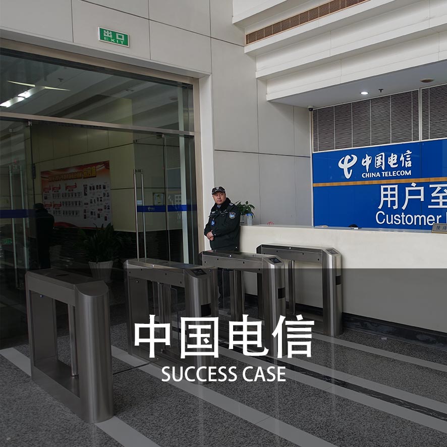 速通摆闸案例