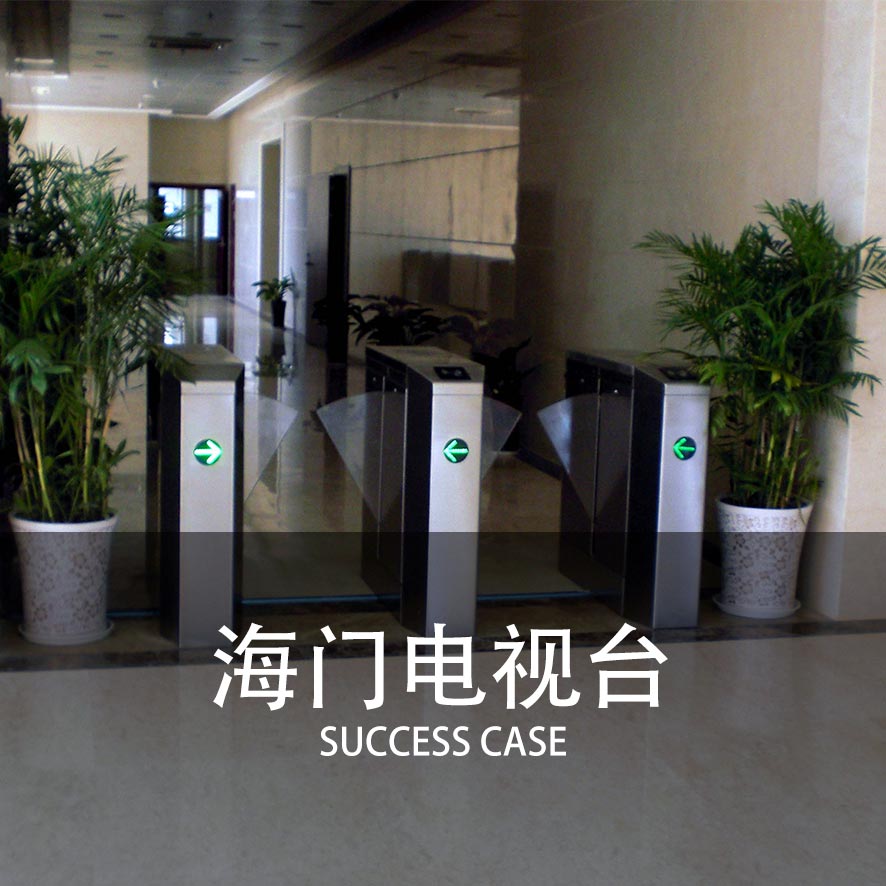 速通翼闸案例