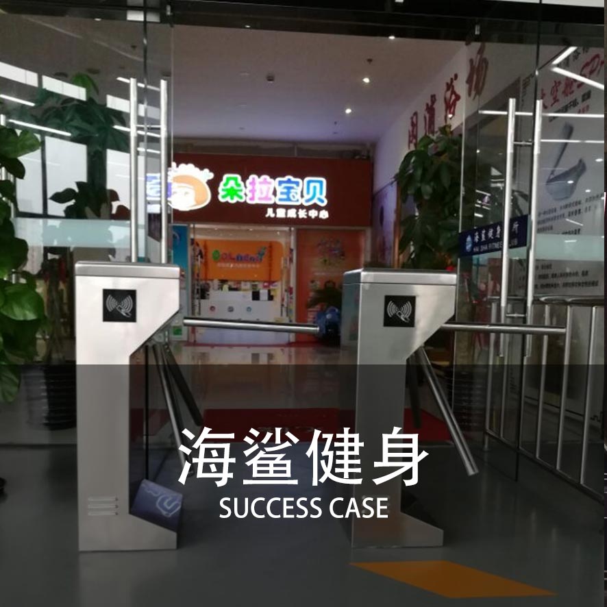 三辊闸案例