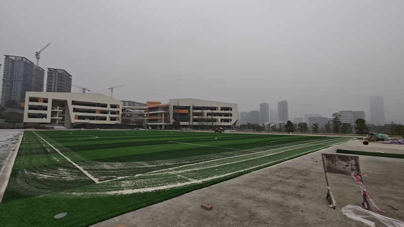 2025年12月29日天府新区煎茶小学300米运动场草坪施工中