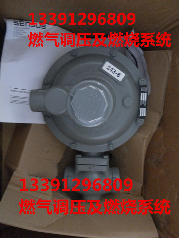 胜赛斯（SENEUS）243-8燃气减压阀燃气调压阀