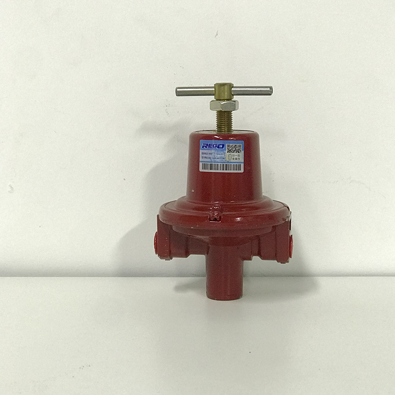 美国REGO 1584VN 1588VN燃气减压阀液化气调压阀