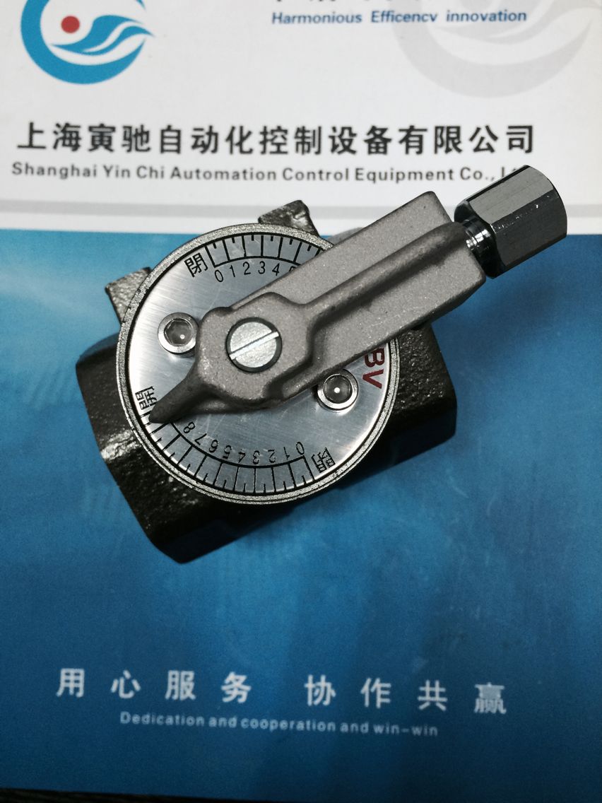 BVM-65手动燃气蝶阀BVM-50正英